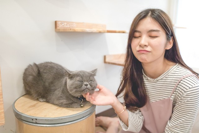 รีวิว คาเฟ่สัตว์ Cat Up Cafe