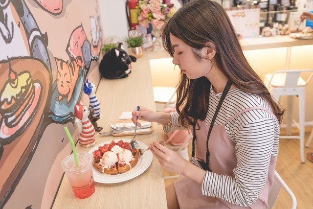 รีวิว คาเฟ่แมว Cat Up Cafe