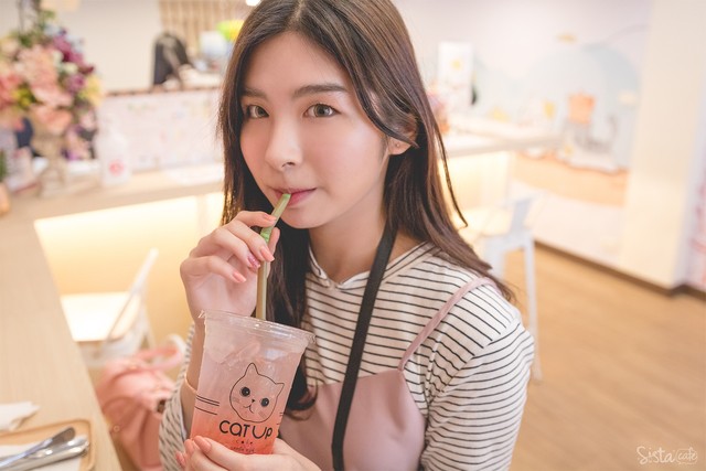 รีวิว คาเฟ่แมว Cat Up Cafe