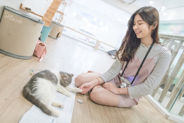 รีวิว คาเฟ่แมว Cat Up Cafe