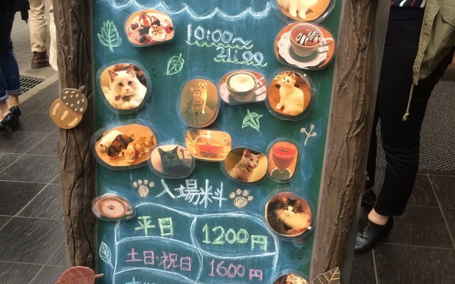 image_376238