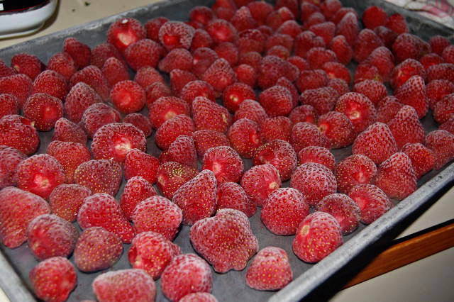 https://image.sistacafe.com/images/uploads/content_image/image/38010/1442551248-freezing_strawberries.jpg