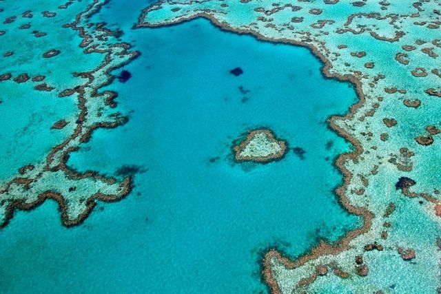 https://image.sistacafe.com/images/uploads/content_image/image/380277/1497921730-Heart-Reef-Great-Barrier-Reef-Australia-Aerial.jpg.1000x0_q80_crop-smart.jpg