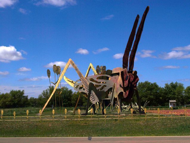 image_381664