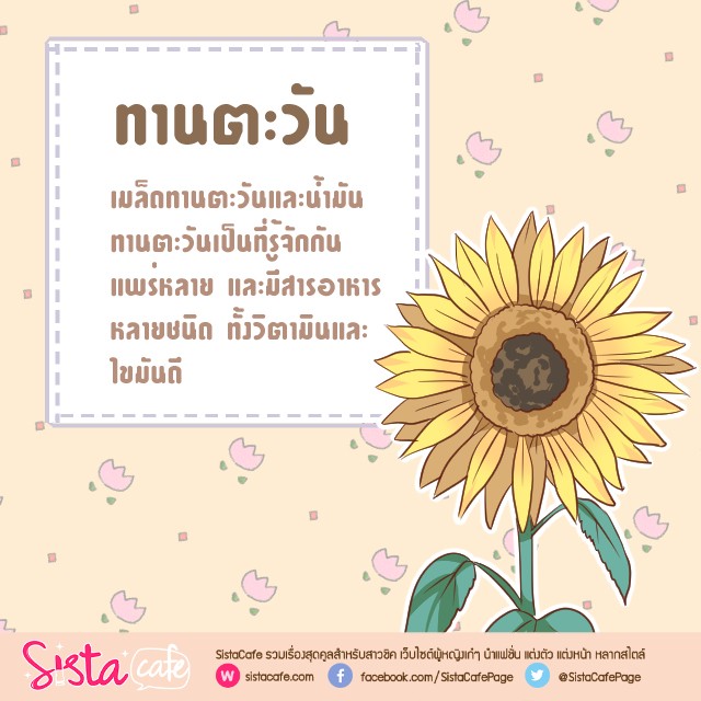 image_382701