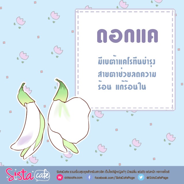 image_382702