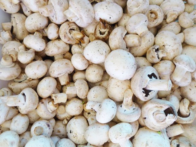 1498193749 pile mushrooms grocery store.jpg.638x0 q80 crop smart