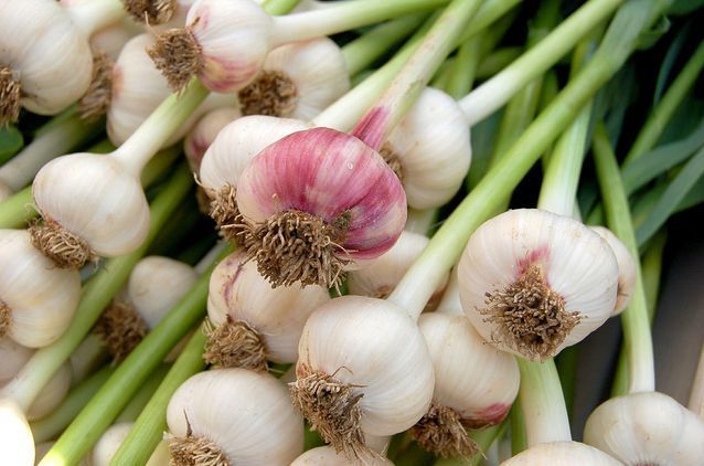 1498194086 garlic stems.jpg.638x0 q80 crop smart
