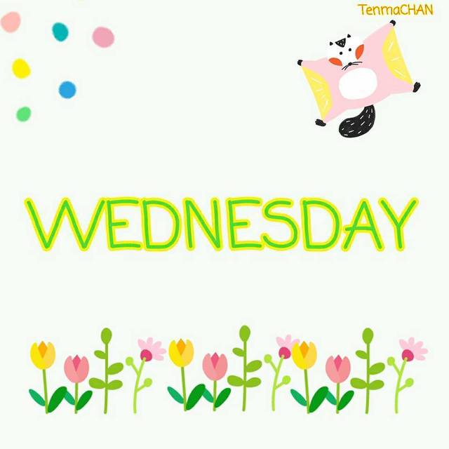 https://image.sistacafe.com/images/uploads/content_image/image/385130/1498455471-18582198_1136057853166603_8354508161248626308_n.jpg