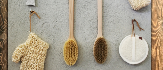 1498709300 dry brushing 4