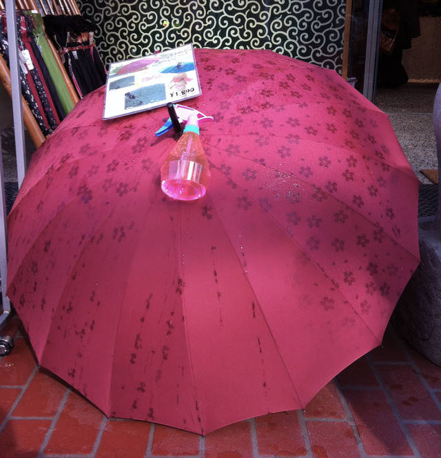 https://image.sistacafe.com/images/uploads/content_image/image/39912/1443101479-sakuraumbrella.jpg