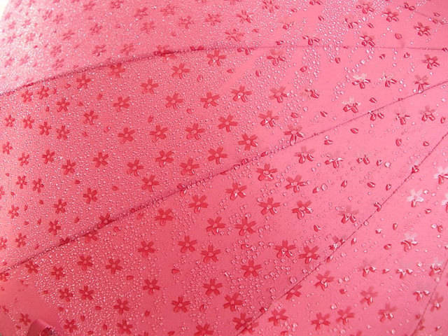 https://image.sistacafe.com/images/uploads/content_image/image/39915/1443101589-umbrella-reveals-pattern-wet-japan-14.jpg