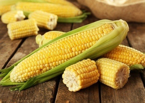 1500800981 corn 2