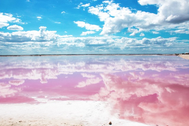 1501176200 las coloradas pink lake 3