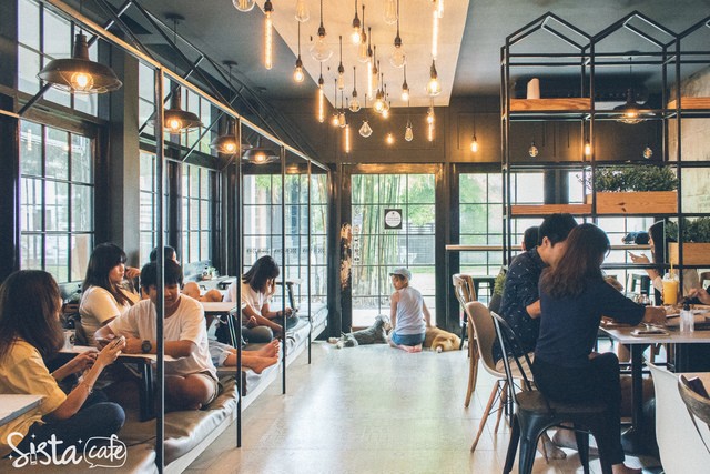 ร้านกาแฟ เอกมัย 6 คาเฟ่หมา Dog in town modern loft