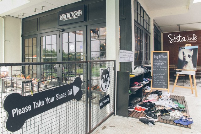 ร้านกาแฟ เอกมัย 6 Dog in town คาเฟ่หมา โรงแรมหมา