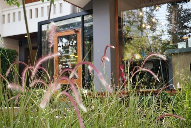 [TRIPLE The Coffee House, คาเฟ่ ทองหล่อ] นอกร้าน 3