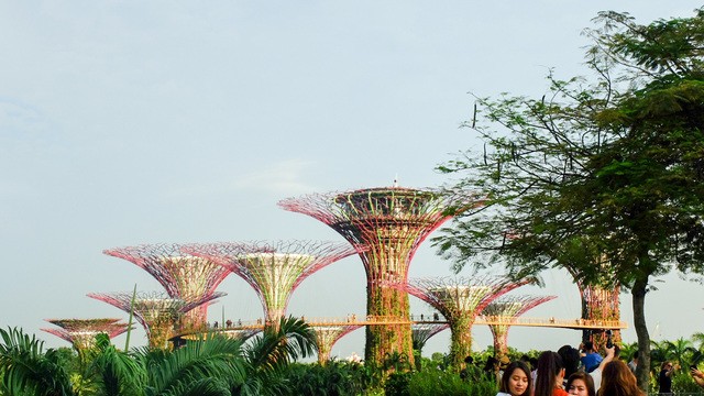 เที่ยวสิงคโปร์ 5