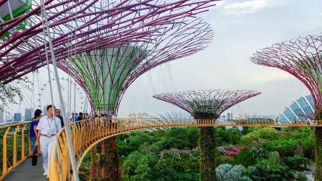 เที่ยวสิงคโปร์ Super trees 