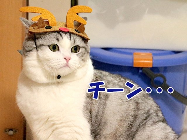 image_430883