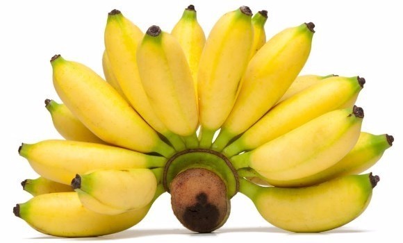 1504239954 pisang 1 1