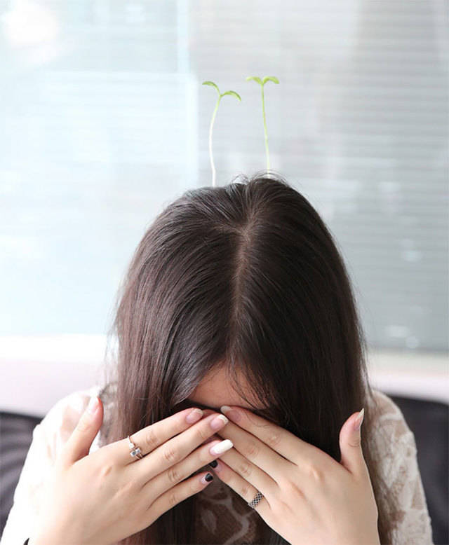 https://image.sistacafe.com/images/uploads/content_image/image/43437/1444205563-Sprout-Hair-Pins7__700.jpg