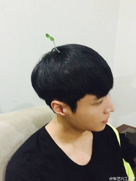 https://image.sistacafe.com/images/uploads/content_image/image/43456/1444206011-EXO-Lay-been-sprout-mushroom-antenna-hairpins.jpg