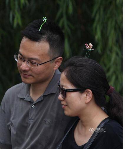 https://image.sistacafe.com/images/uploads/content_image/image/43476/1444206762-hair-clips-new-lovely-novelty-plants-grass.jpg
