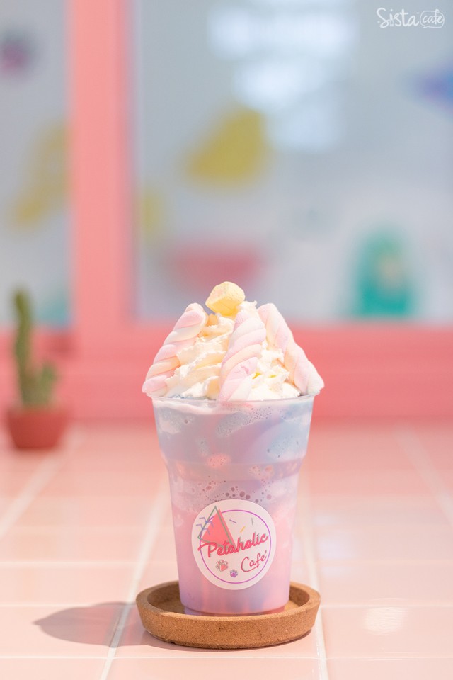 Petaholic Cafe คาเฟ่สัตว์ เมืองทอง