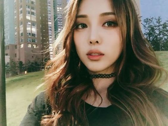 1505291631