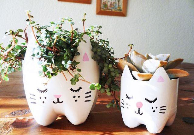 image_447207
