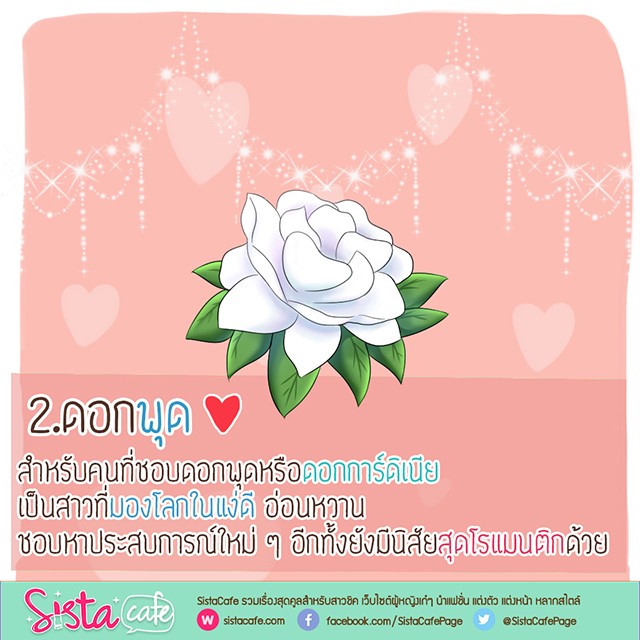 1509338842 template work sista %e0%b8%9e%e0%b8%b8%e0%b8%94 2