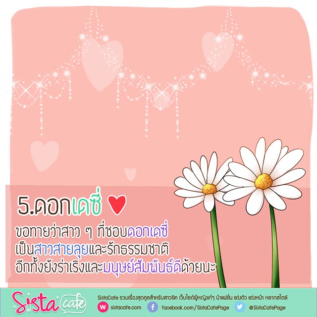 1509338888 template work sista %e0%b9%80%e0%b8%94%e0%b8%8b%e0%b8%b5%e0%b9%885