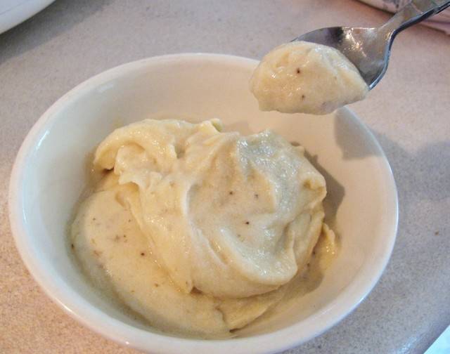 1445006586 yonanas icecream 1024x807