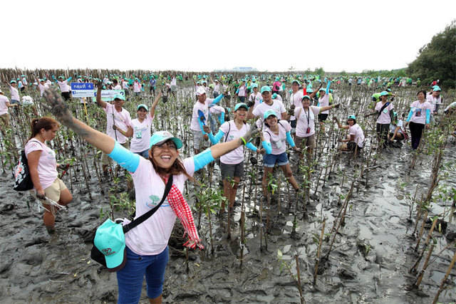 https://image.sistacafe.com/images/uploads/content_image/image/47682/1445340250-toyota-eco-network-mangrove-forest-02.jpg