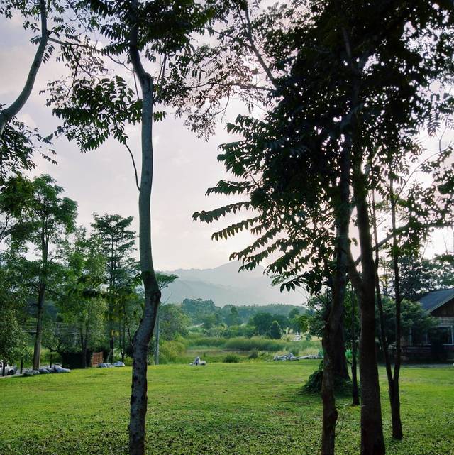 image_477650