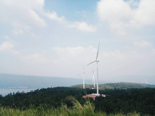 image_477676