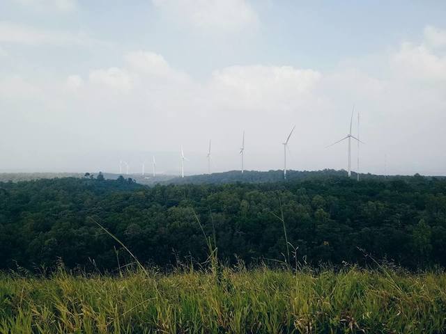 image_477681