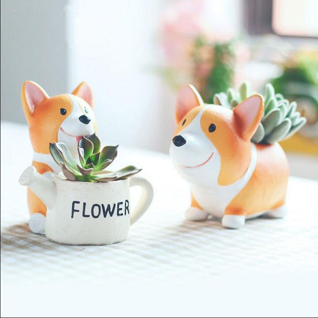 image_480547
