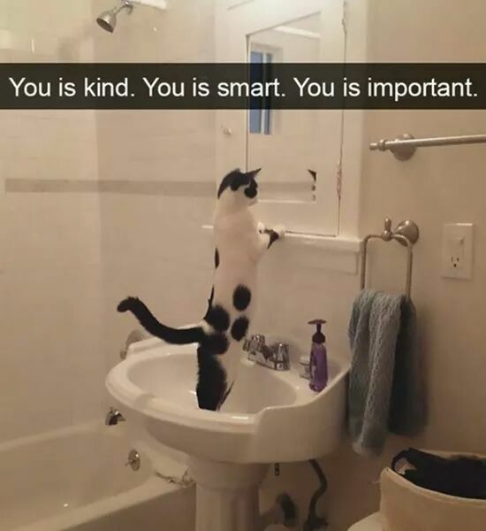 1510415882