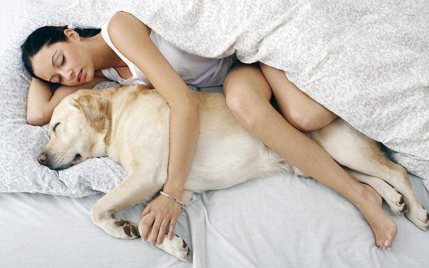 1445410332 sleeping with pets large