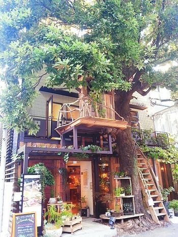 image_491352