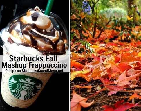 https://image.sistacafe.com/images/uploads/content_image/image/49172/1445507470-Starbucks-secret-Fall-Mashup-Frappuccino.jpg