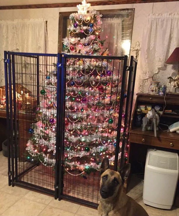 1511869756 protecting christmas tree from dogs cats pets 34 585a917f50d3b  605