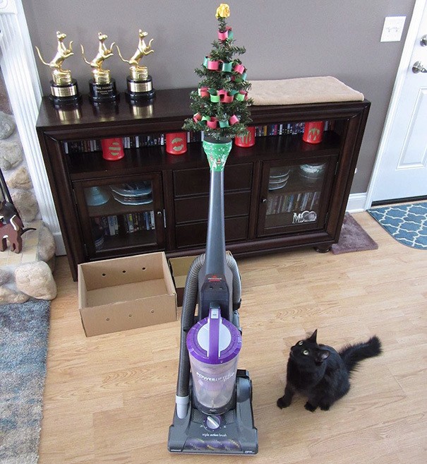 1511869850 protecting christmas tree from dogs cats pets 1 585a5c3dd4417  605