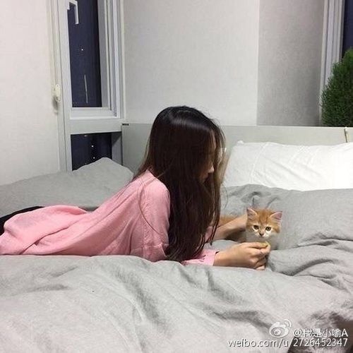 image_500279