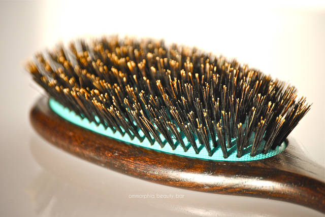https://image.sistacafe.com/images/uploads/content_image/image/50147/1445826935-moroccanoil-classic-brush-bristles.jpg