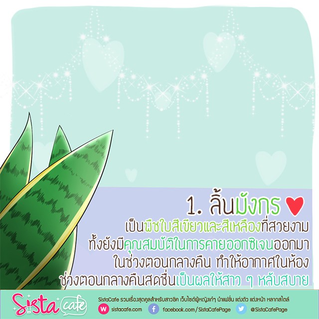 1512027160 template work sista %e0%b8%a5%e0%b8%b4%e0%b9%89%e0%b8%99%e0%b8%a1%e0%b8%b1%e0%b8%87%e0%b8%81%e0%b8%a3
