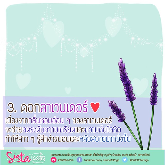 1512027183 template work sista %e0%b8%a5%e0%b8%b2%e0%b9%80%e0%b8%a7%e0%b8%99%e0%b9%80%e0%b8%94%e0%b8%ad