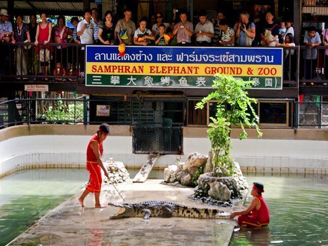 image_502011